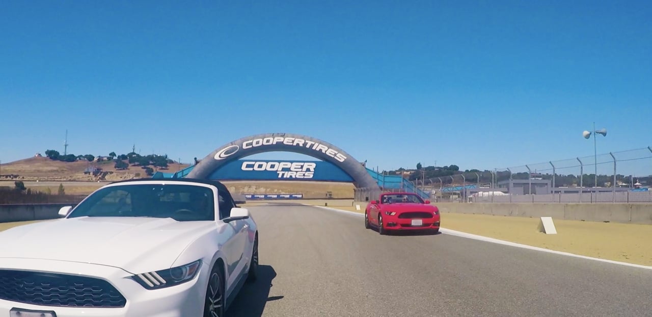 Every Day Tire or Race Car Tire